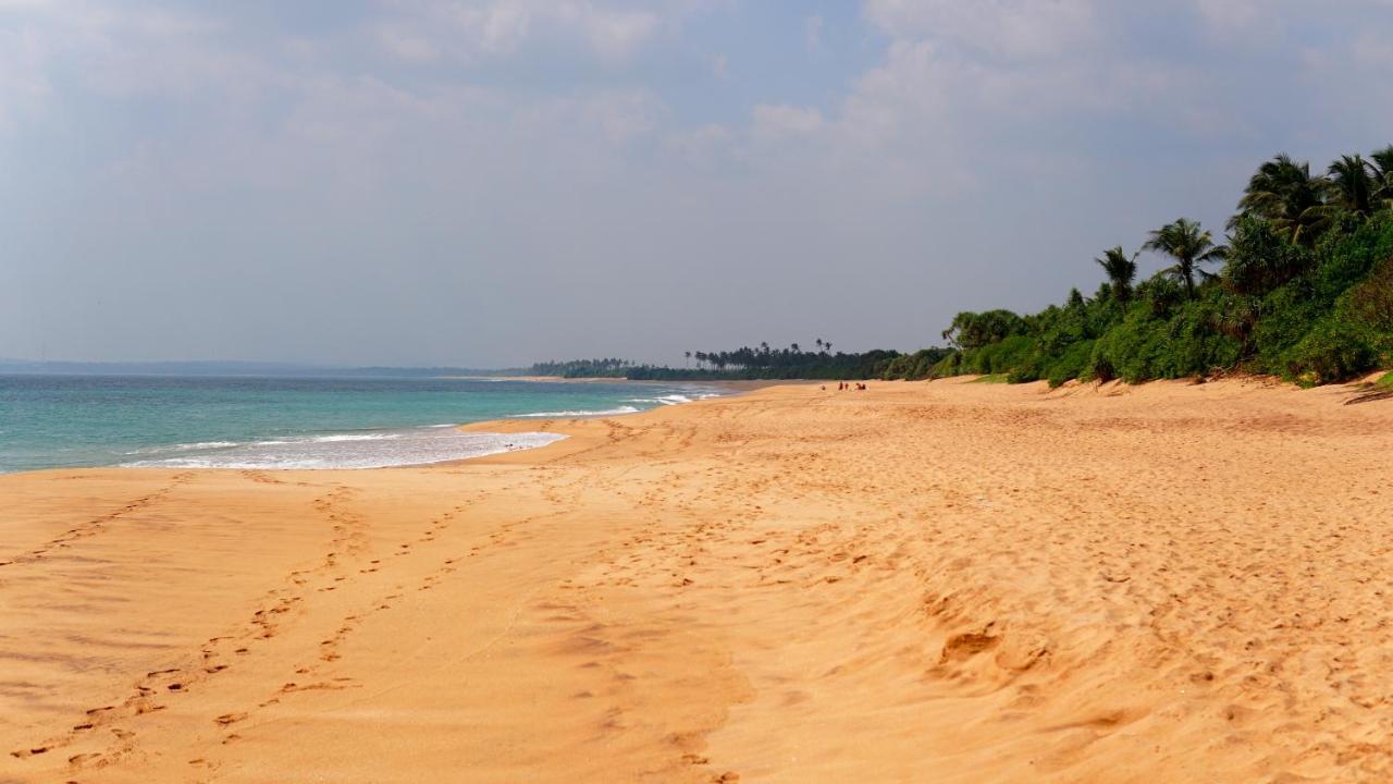 All View Resort Tangalle Eksteriør billede